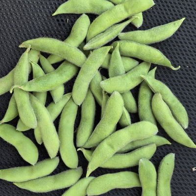 苏北农家当季新鲜毛豆豆角自种带壳青豆鲜嫩黄豆豆荚蔬菜现摘便宜