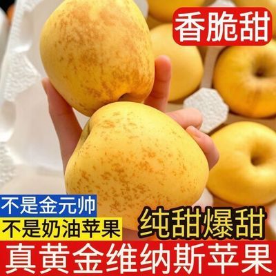 山东正宗维纳斯黄金苹果新鲜当季水果富士萍果平果冰糖心脆甜纯