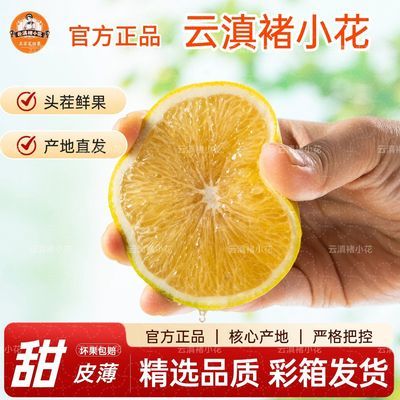 正品云滇褚小花正宗花斑果花斑橙M/L/XL/珍品果云南哀牢山褚花斑