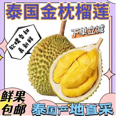 【现货金枕】泰国进口金枕榴莲鲜果新鲜带壳一整个热带水果批发