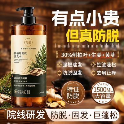 侧柏叶防脱固发洗发水生姜草本控油蓬松洗头膏露黄苓首乌养发柔顺