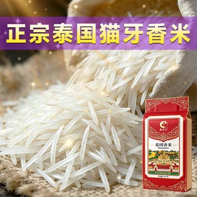 正宗泰国香米原粮进口新米超长粒香大米一级猫牙米丝苗米蛋炒煲仔