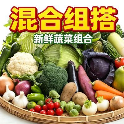 威宁新鲜蔬菜组合白菜番茄土豆蔬菜混合蔬菜混搭一周套餐组合