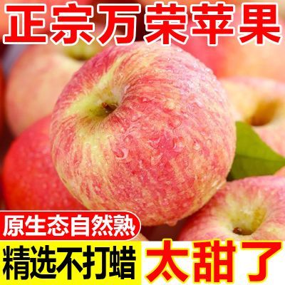 正宗万荣红富士苹果酥脆当季山西苹果应季新鲜苹果水果批发一整箱