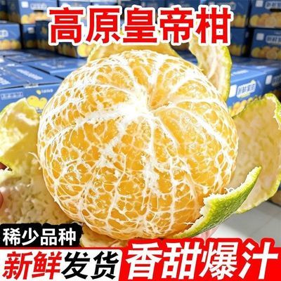 【头茬】广西帝皇柑新鲜薄皮当季水果贡柑现摘柑橘蜜桔橙子批发