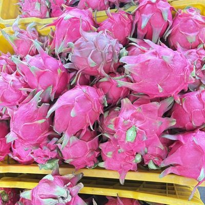 金都一号红心火龙果超甜正宗新鲜水果红肉应季整箱热带批发价