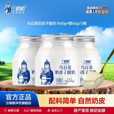 【兰格格】草原酸奶 兰格格酸奶乌日莫奶皮子560g+60g 低温酸奶 大桶