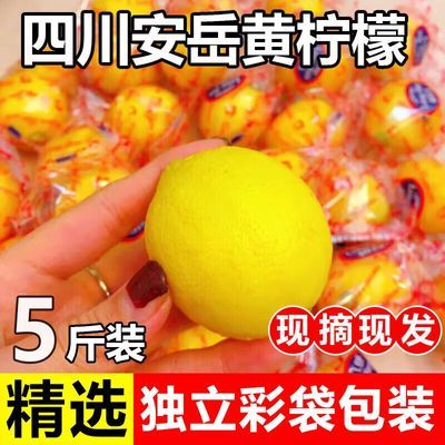 四川安岳黄柠檬现摘现发独立彩袋包装酸甜多汁解腻榨汁用奶茶饮品