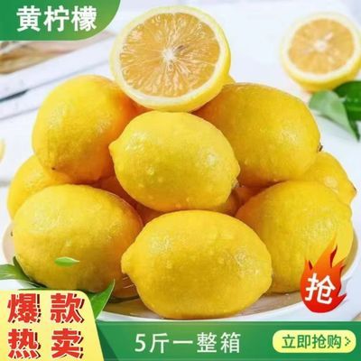 正宗黄柠檬尤力克薄皮应季当季鲜果奶茶新鲜多汁水果整箱专用批发