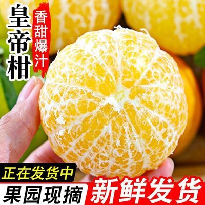 【现货】广西皇帝柑新鲜贡柑水果柑橘桔子沃柑蜜桔砂糖桔整箱批发