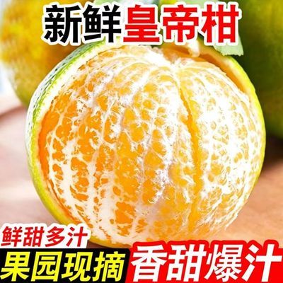 广西皇帝柑新鲜水果桔子柑橘蜜桔当季橘子贡柑薄皮现货整箱批发