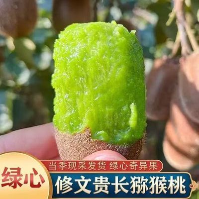 贵州修文猕猴桃贵长绿心奇异果新鲜野生水果小弥猴桃