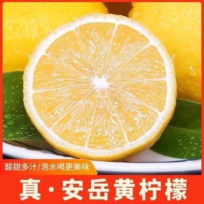 【彩袋装】安岳黄柠檬酸多汁泡水喝现摘新鲜奶茶店饮品用榨汁水果
