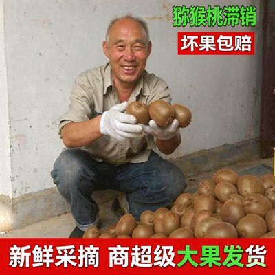 【优等品】5斤大果陕西绿心周至猕猴桃奇异果1斤3斤新鲜水果大果