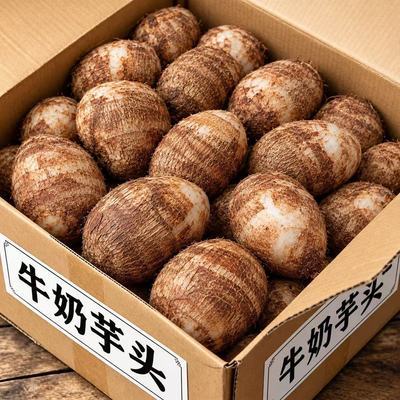 【精挑芋头】山东牛奶山东芋头净重5斤/3斤精品无二母果当季香芋