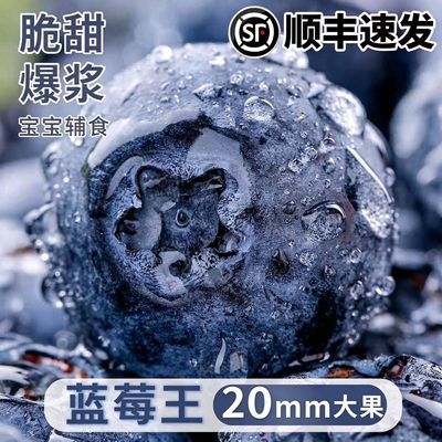【顺丰】现货云南现摘蓝莓鲜果当季水果孕妇国产高山颗甜莓大果