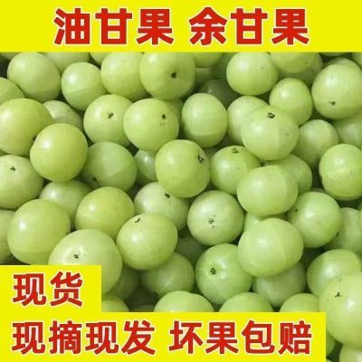 新鲜采摘油甘果余甘果滇橄榄油柑水果余甘子当季酸果子油甘果新鲜