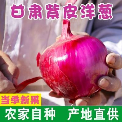 【今年新葱】甘肃洋葱紫皮水果红皮葱头新鲜甜脆生吃农家自种批发