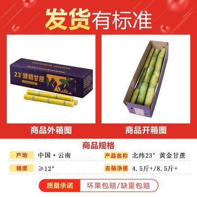 彩箱【果园直发】脆甜中段云南黄金正宗甘蔗新鲜应季水果批发多汁
