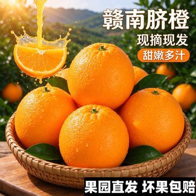 正宗江西赣南脐橙直发赣州当季新鲜孕妇水果大果橙子甜橙10个装