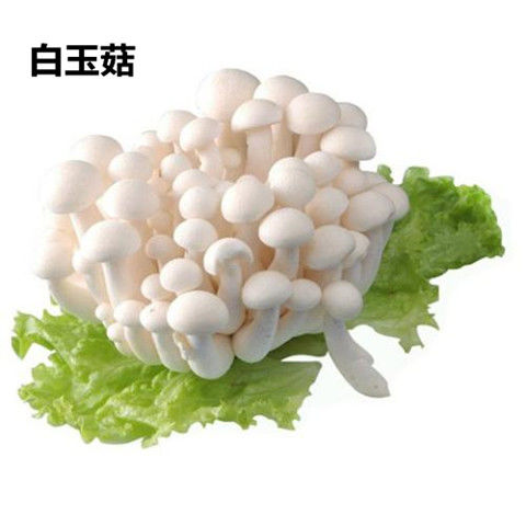 【鲜蘑菇组合】金针菇杏鲍菇海鲜菇蟹味菇白玉菇营养新鲜蔬菜菌菇