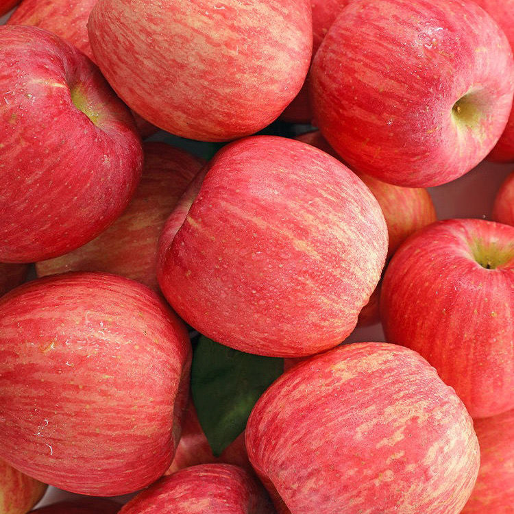 陕西延安正宗水晶红富士洛川苹果带箱10斤当季现摘新鲜水果脆甜