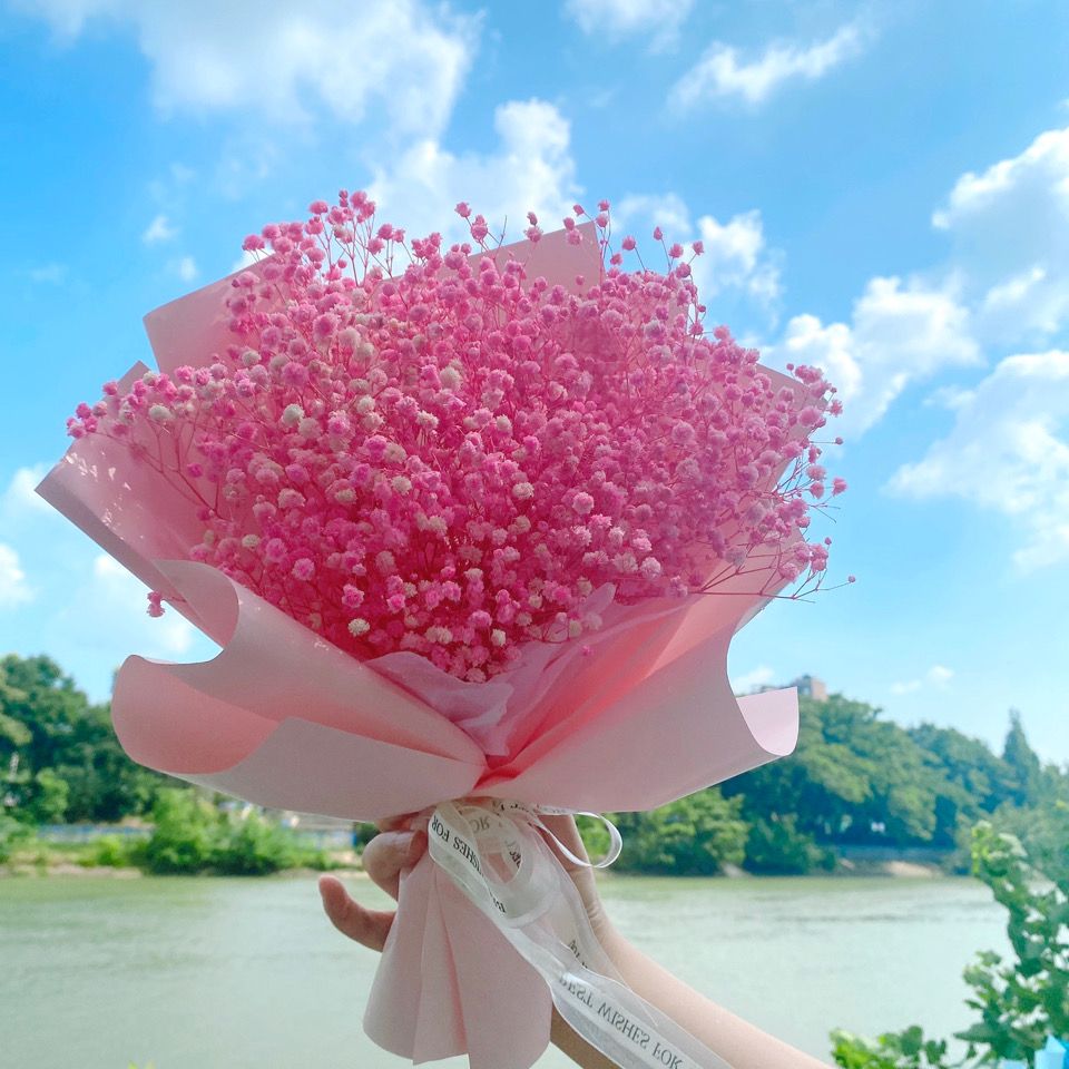 满天星干花束成品真花永生花送女朋友男友生日礼物高级感闺蜜装饰