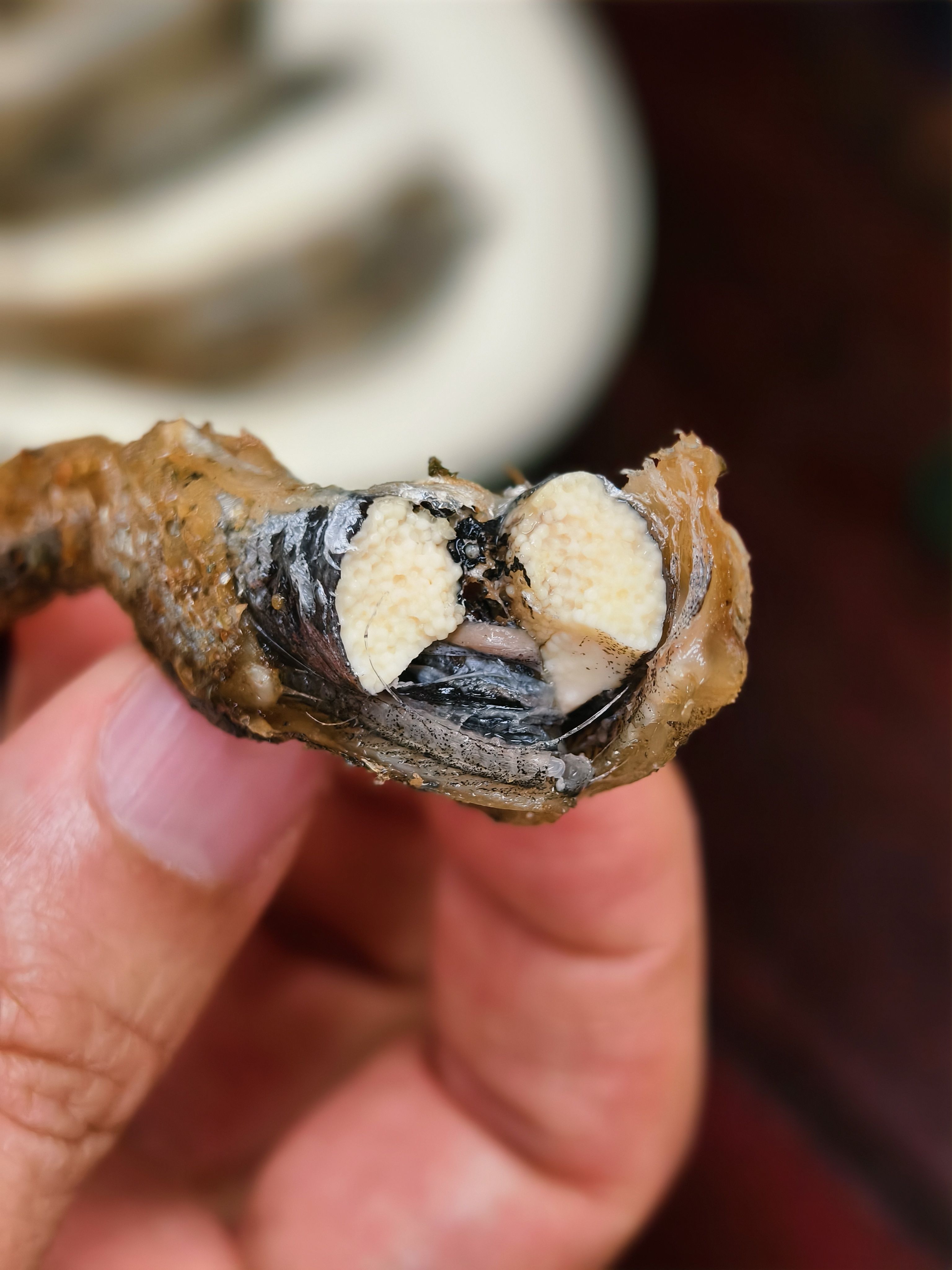 挪威深海的诗意：一尾爆籽多春鱼的初夏邀约