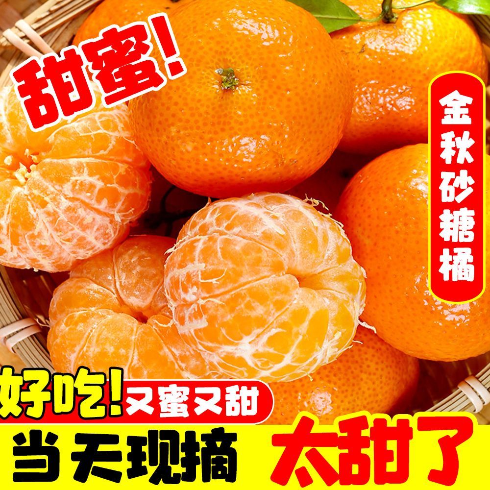爆甜现摘金秋砂糖橘子当季新鲜水果沙糖桔子超甜薄皮砂糖桔