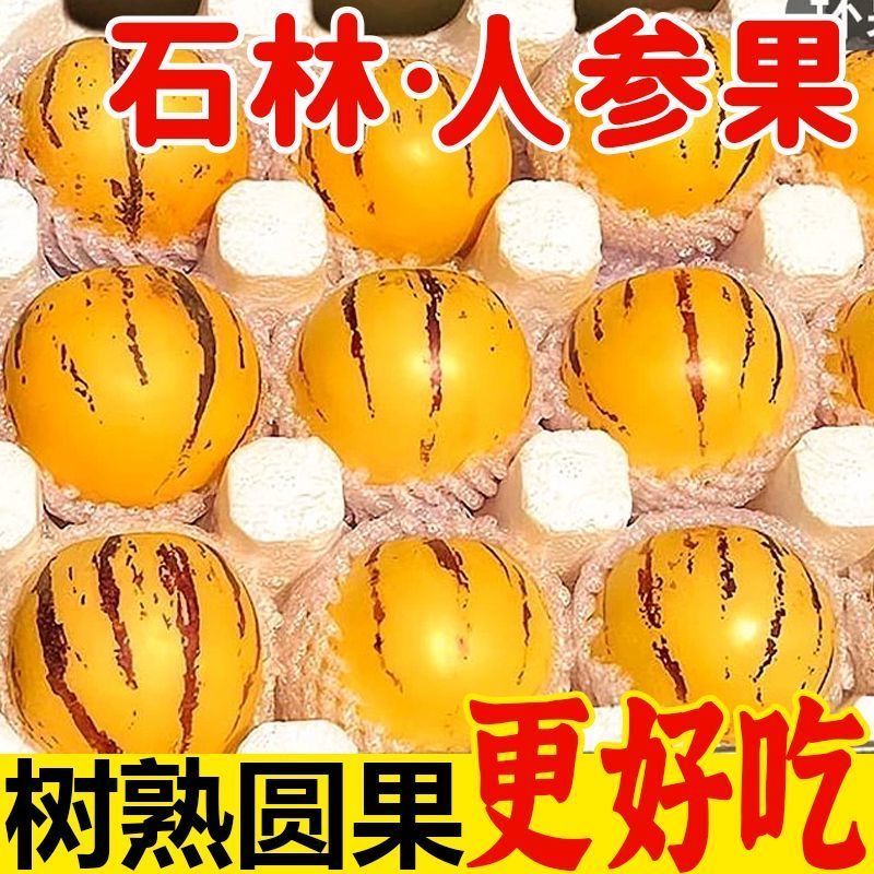 云南石林人参果大果树上熟黄圆果肉圆果应季应季新鲜人生水果整箱【12月24日发完】