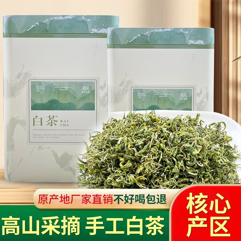 安吉手工白茶揉捻浓香型浙江上等绿茶2026年新茶耐泡茶叶