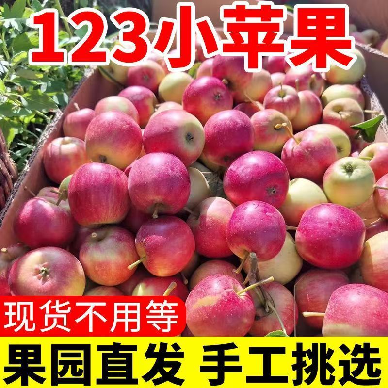 东北123小苹果5斤 16.9元 - 线报酷