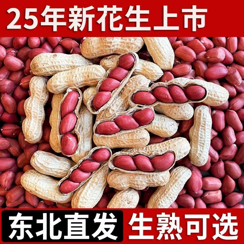 四粒红生花生带壳晒干新货农家自种新鲜晒干红皮花生带壳红衣花生