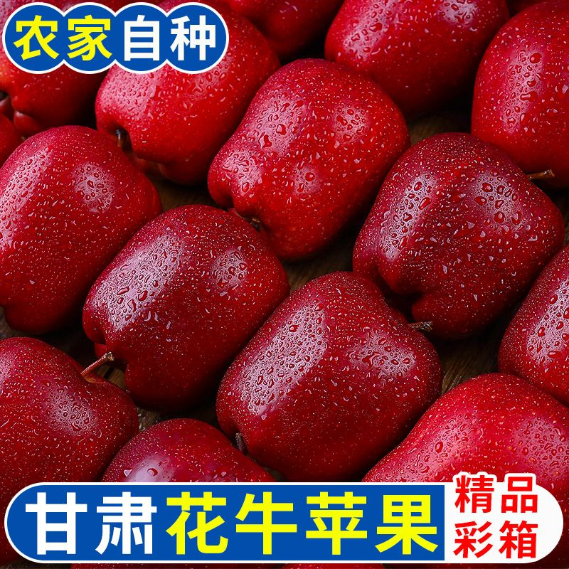 御品一园甘肃天水花牛苹果水果新鲜整箱刮泥蛇果净重5斤75mm起