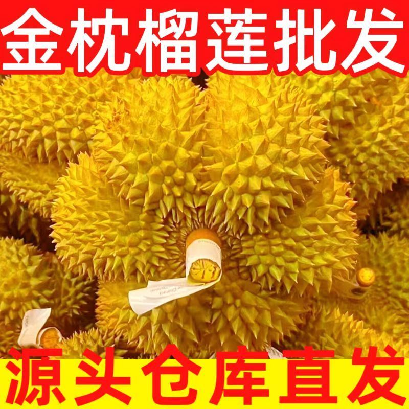 金枕鲜果正宗进口枕头泰国金枕榴莲带壳整箱果肉现货新鲜水果