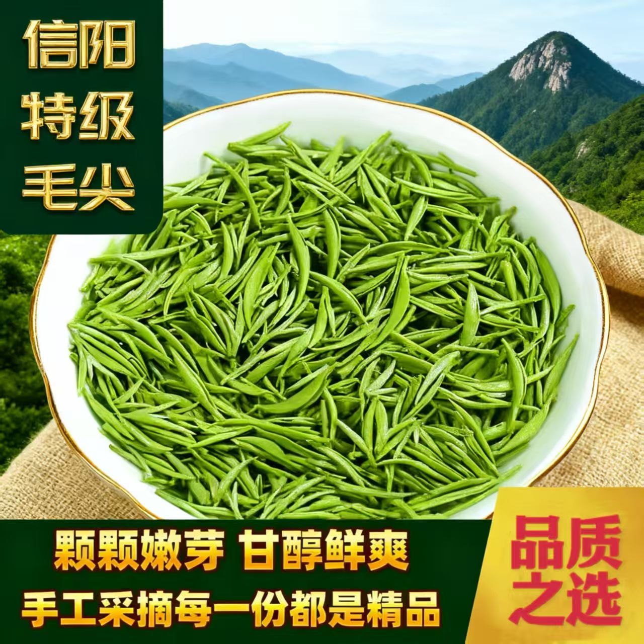 2026 新茶 信阳毛尖 明前高山春茶信阳特级毛尖养生正品