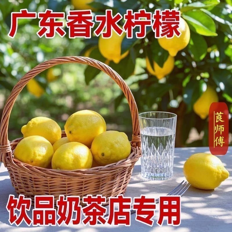 【爆香】广东香水柠檬黄柠檬果园直发鲜果新鲜无籽黄果奶茶店专用 图片 3