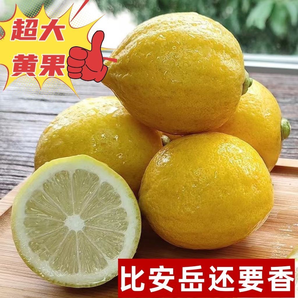 【爆香】广东香水柠檬黄柠檬果园直发鲜果新鲜无籽黄果奶茶店专用 图片 2