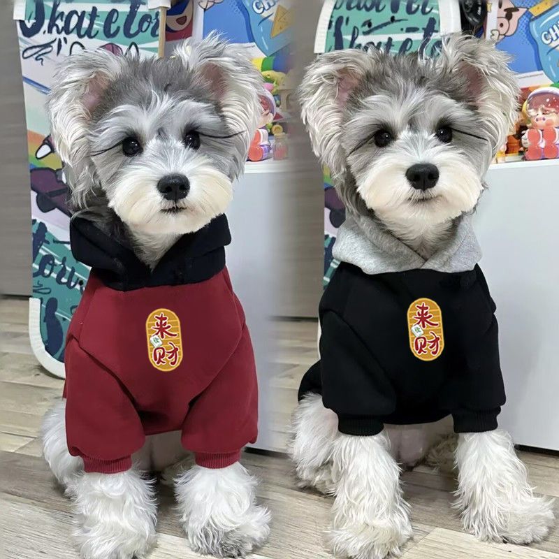 2025年秋冬新款潮牌狗狗宠物衣服中小型贵宾犬帅气比熊雪纳瑞卫衣