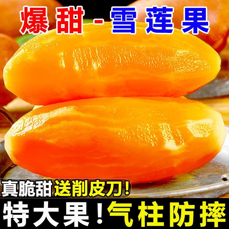 【气柱防摔】正宗云南天山雪莲果250/300g起现挖黄心应季新鲜水果
