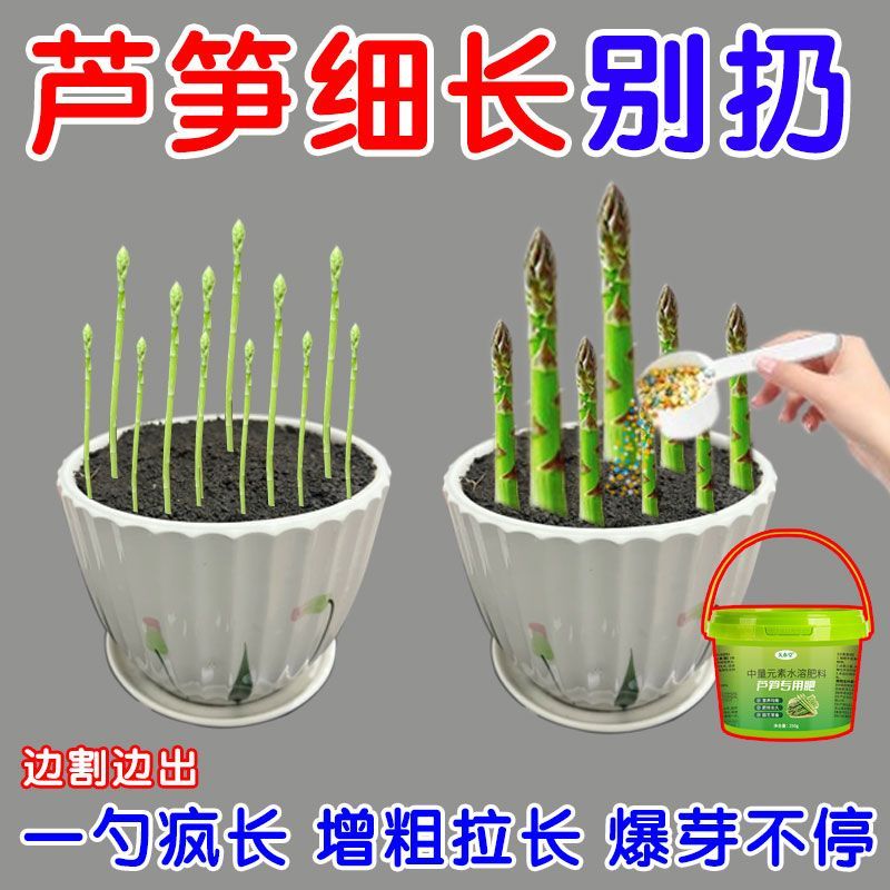 茬茬旺芦笋肥料专用肥芦笋催芽肥促生长防枯萎老化芦笋叶面肥