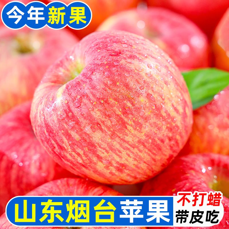 【御品一园】山东烟台红富士苹果新鲜水果整箱净重4.5斤75mm以上