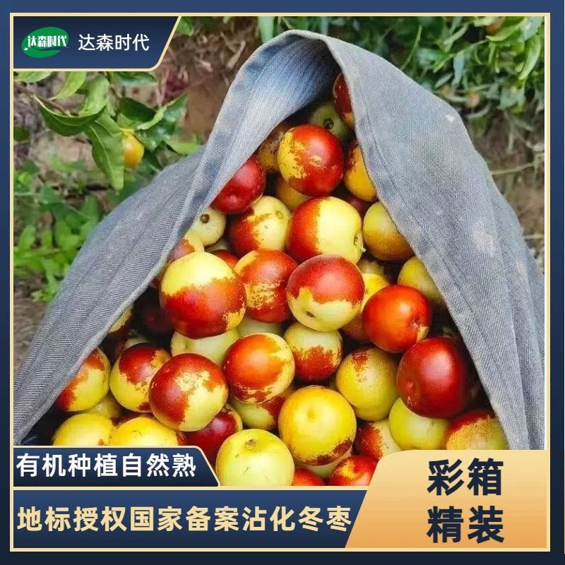 现摘正宗山东沾化冬枣脆甜当季枣子鲜枣新鲜水果孕妇特产整箱大果