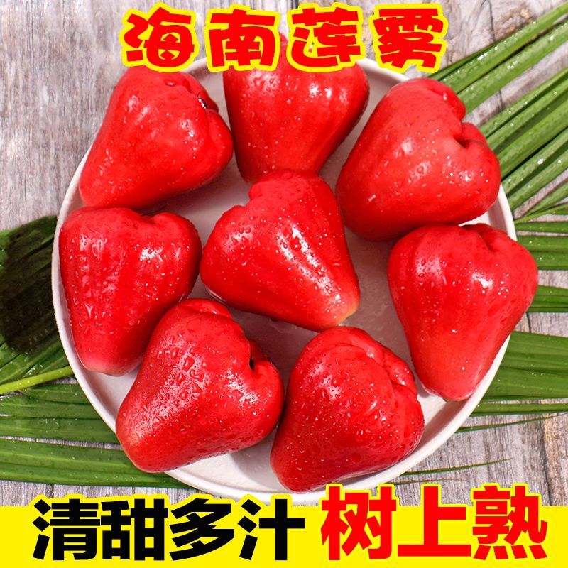 海南三亚莲雾水果当季现摘热带仙女果红宝石雾莲果整箱批发