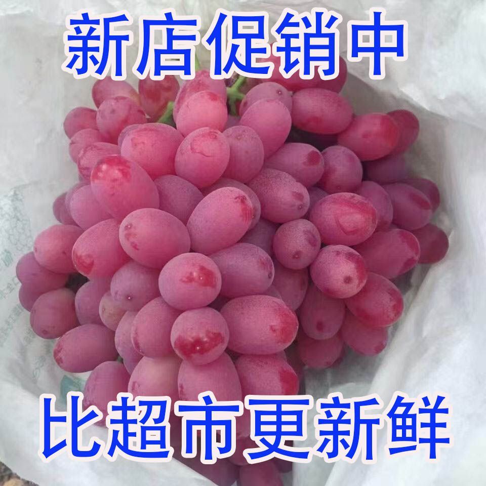 【果园直发】K正宗无籽红提葡萄克伦生纯甜当季新鲜孕妇鲜批发