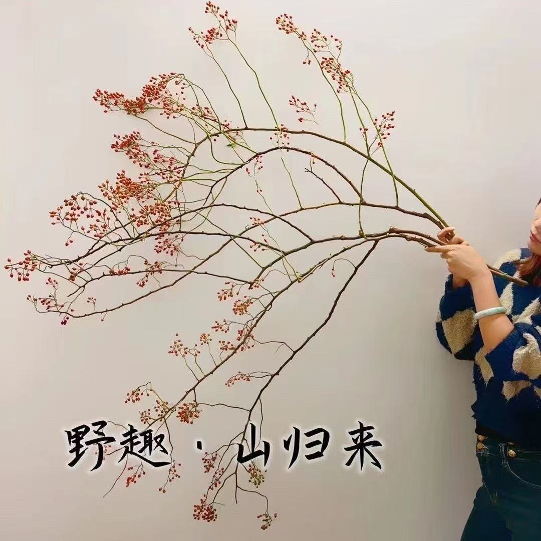 山归来鲜切水培中式插花花材高级山归来室内家居装饰摆件禅意造型