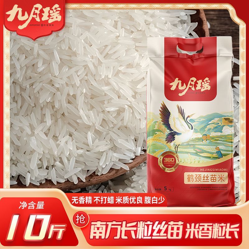 九月瑶鹤颈丝苗米10斤当季新米长粒香米象牙米猫牙米饭店商用家庭