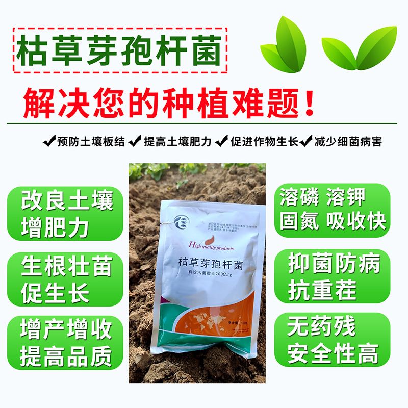 枯草芽孢杆菌生根植物烂根白粉灰霉青枯霜霉病重茬种植农用益生菌 图片 4