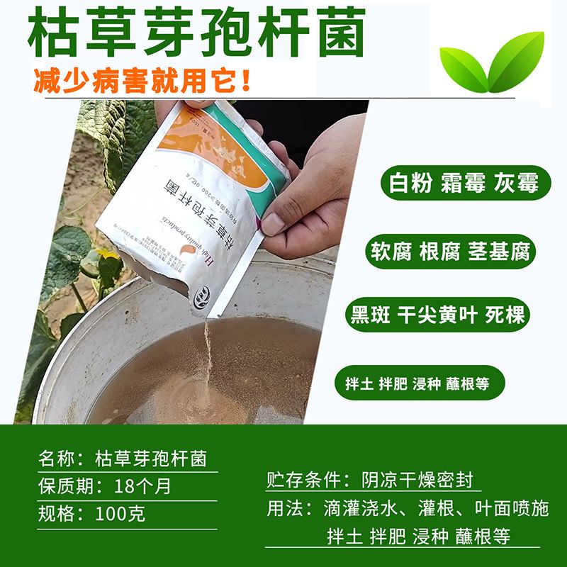 枯草芽孢杆菌生根植物烂根白粉灰霉青枯霜霉病重茬种植农用益生菌 图片 5