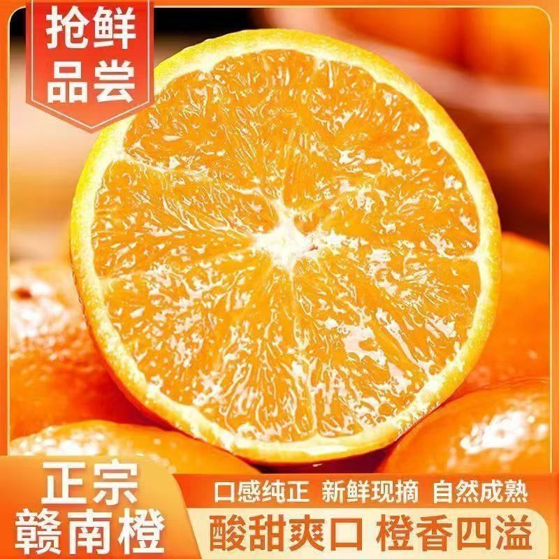 正宗赣南脐橙赣州寻乌直发10斤自然成熟爆甜爽口市场热销之选